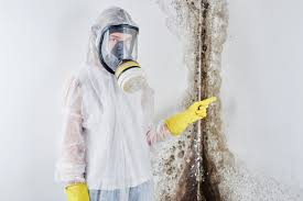 Best Comprehensive Air Testing for Mold Contaminants  in Sycamore, GA